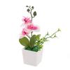 Decorative Ornaments Phalaenopsis Flowers Potted Artificial Flowers