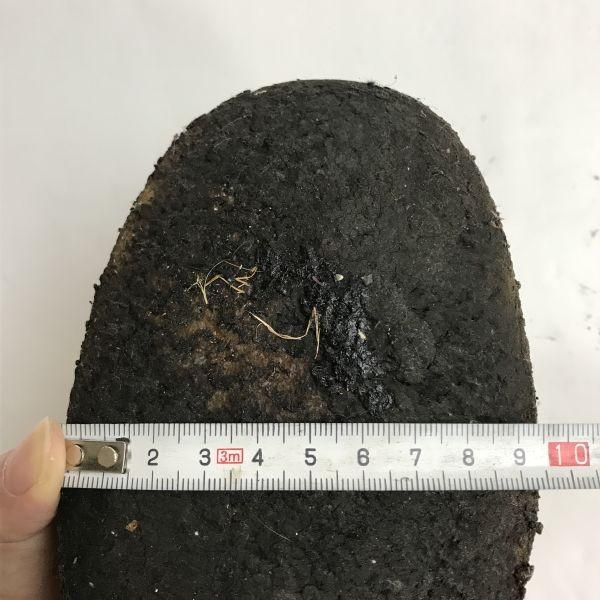 Made in Japan Vintage Burberrys Suede Leather Wallabee Desert Boots Beige Size 5.5 24.0 24.5(USED)