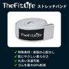 TheFitLife Training Muscle Training Rubber Resistance Stretch Fitness Bands Tubes, Tubes, Tubes, Bands, Bands, (Light Gray/Gray/Black)