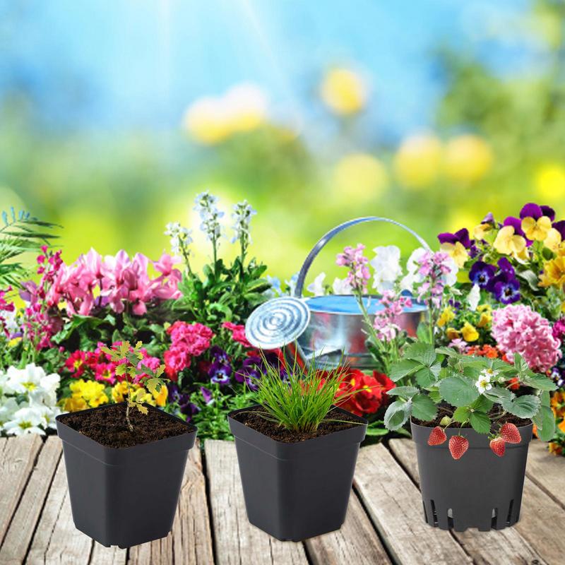 Starter Pots For Planting 50PCS Reusable Black Square Seedling Pots Nursery Pot With Drainage Holes Gardening Kit For Plants