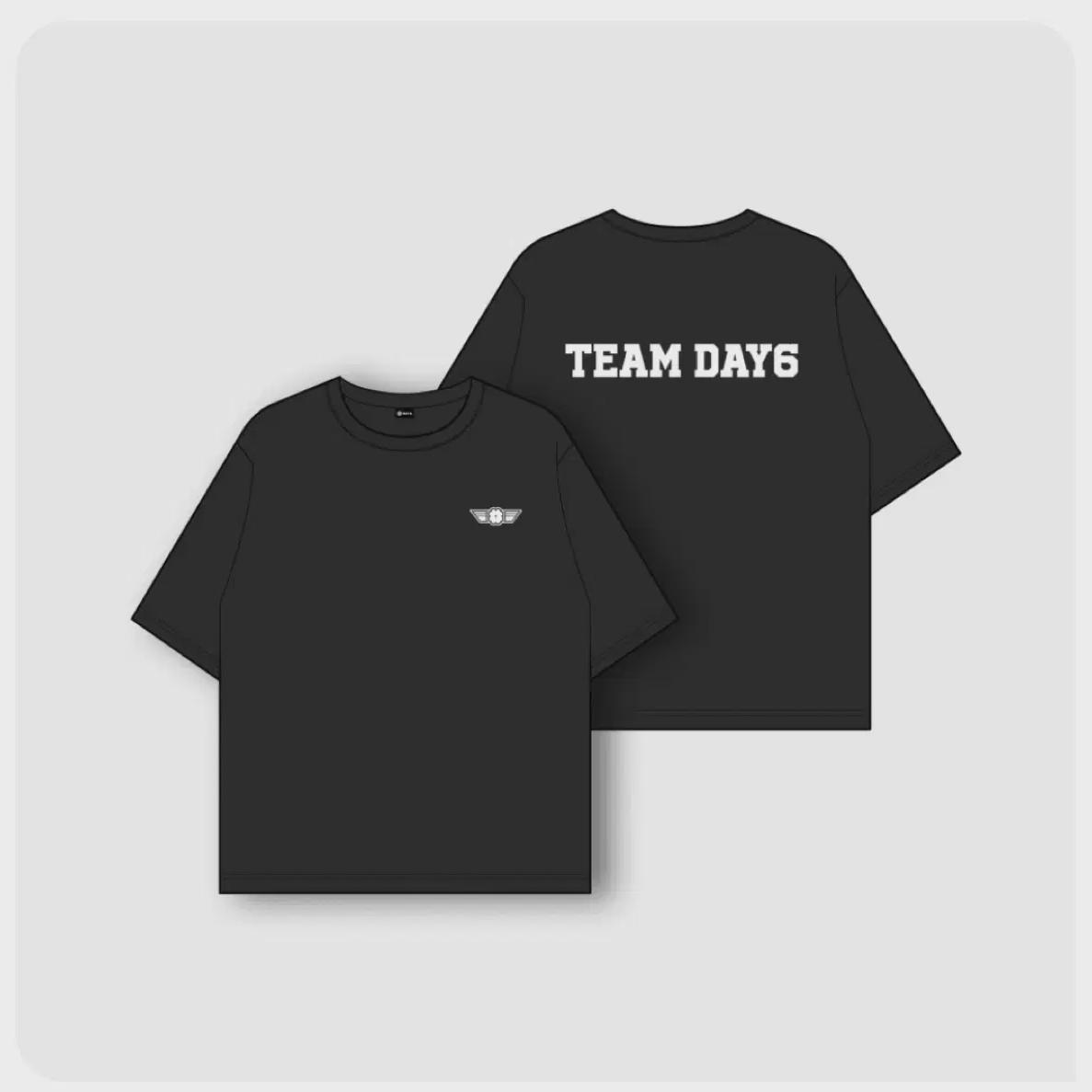 

Футболка команды Daysix