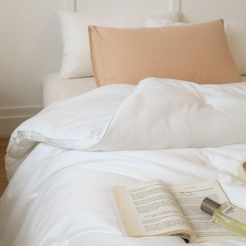 Southern Living 7A Antibacterial Winter Duvet