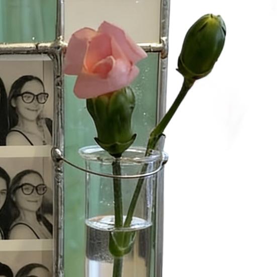 Propagation Frame Hanging Plant Propagation Frame with Glass Tube Resin 8x4 Picture Frames for 2x6 Photo Strip Hydroponic Plant Holder for Window Wall