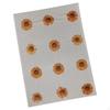 12 Pcs Dried Pressed Flowers DIY Art Craft Photography Props for Phone Case