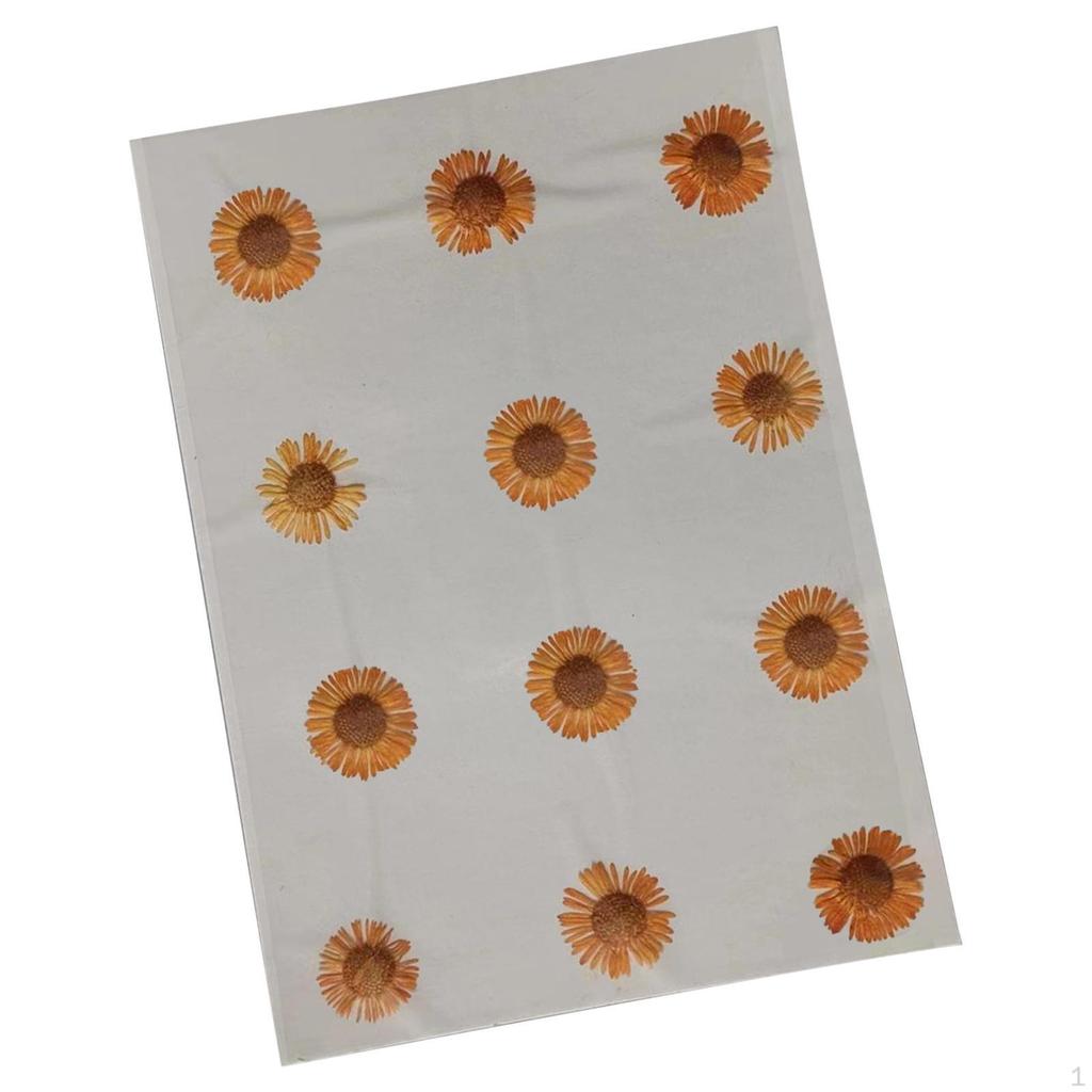 12 Pcs Dried Pressed Flowers DIY Art Craft Photography Props for Phone Case