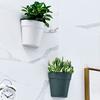 Flower Pot Simple Elegant Semicircle Wall-mounted Garden Plant Succulent Pot Gardening Supplies