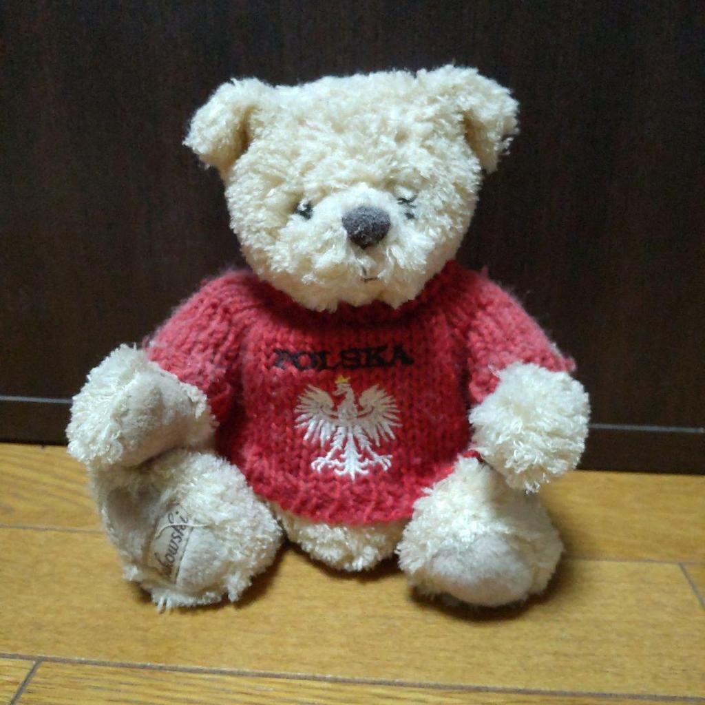[USED] Poland Teddy Bear