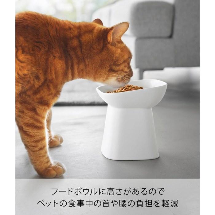[Yamazaki] nooks Pet Food Bowl, Tilted, H17, White, W15xD15xH17cm, 10561