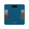 Smart Body Fat Scale (CN Version)