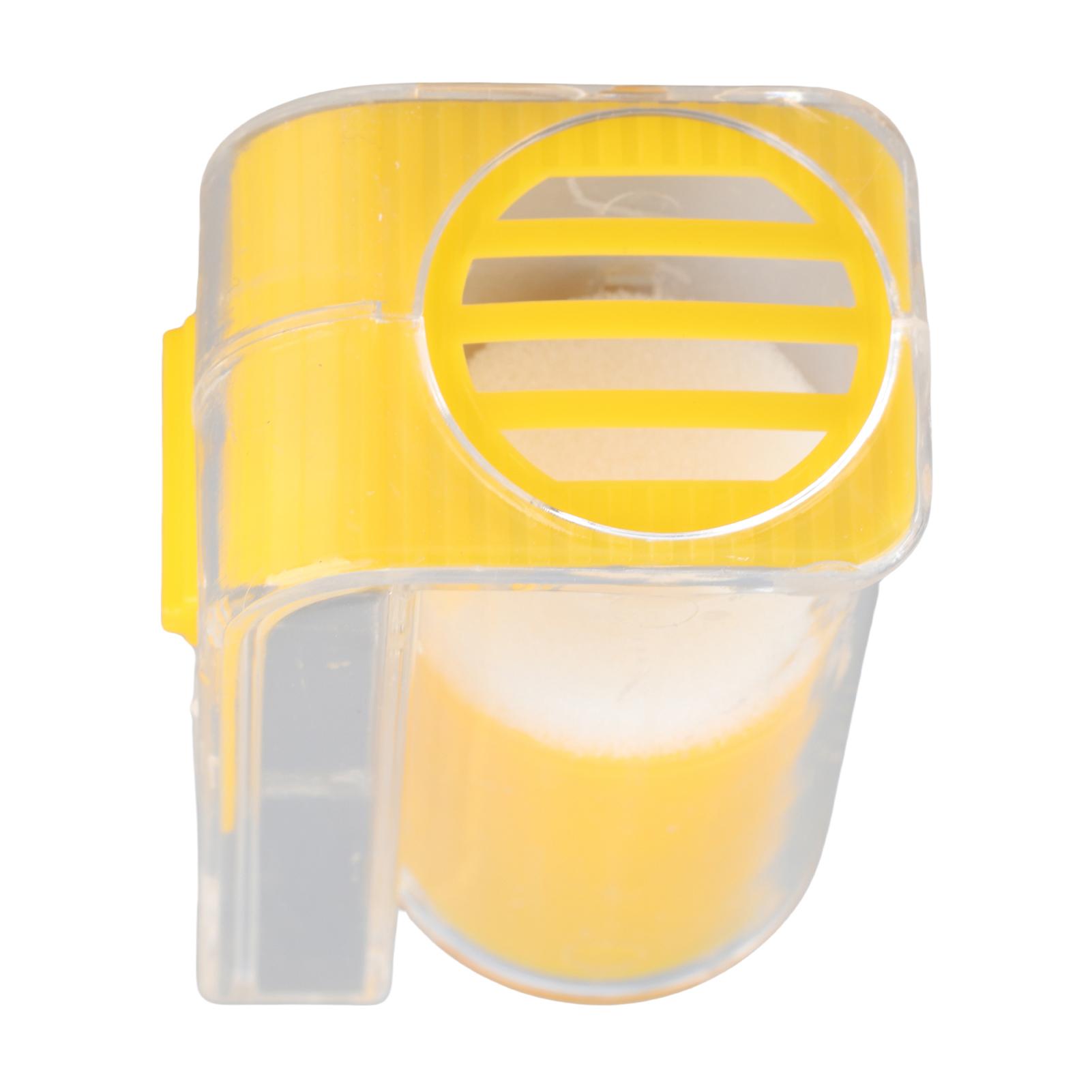 Bee Catch  Bee    ing Bottle   Bee Cage Beekeeping Tools