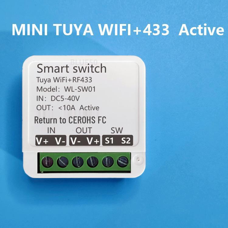Tuya WiFi Smart Switch: 12V/24V Constant Voltage with WiFi and 433 Remote Control for Door Lock or Light Modification