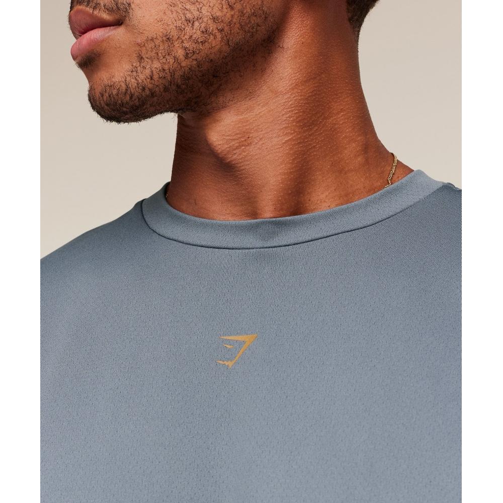 Gymshark Hybrid Graphic T shirT Iron Blue A3c4f ucTm