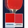 Peak M6 Star Table Tennis Racket