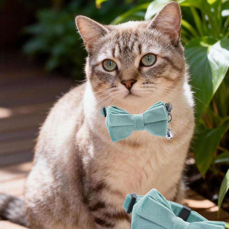 Collare per Animali con Fiocco di Velluto