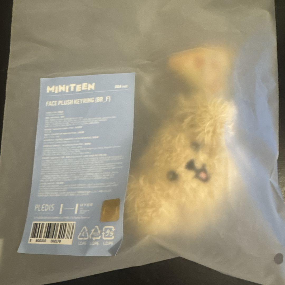 

[USED] SEVENTEEN Dokyeom MINITEEN Pop-up Keyring