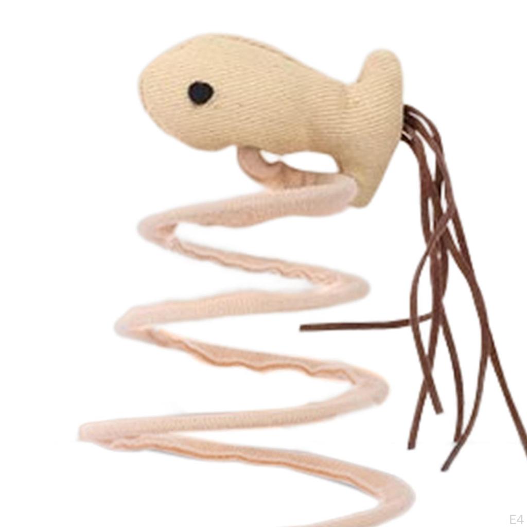 Funny Spring Toy Scratch Teaser Toys for Kitty Indoor Kitten Training Playing