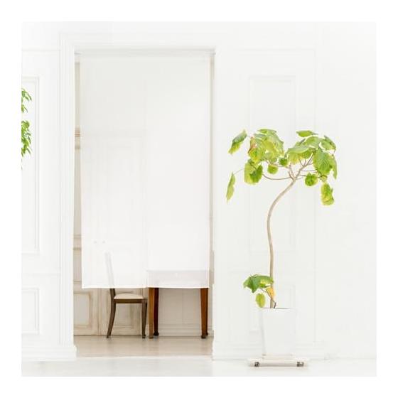 Noren Kobo Noren, Plain, Simple, White, Natural, For Stores, Restaurants, Room Dividers, White, Width 85cm, Length 150cm, Checkered Lace 95080