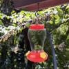 Outdoor Plastic Flower Bird Feeder With Iron Hook Plastic Bird Water Drinker Bottle Hanging Hummingbird Feeder Garden 1pc