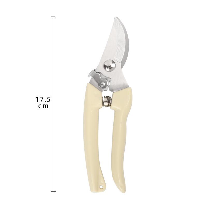 Pruning and Picking Scissors for Fruit Trees, Flowers, and Horticulture