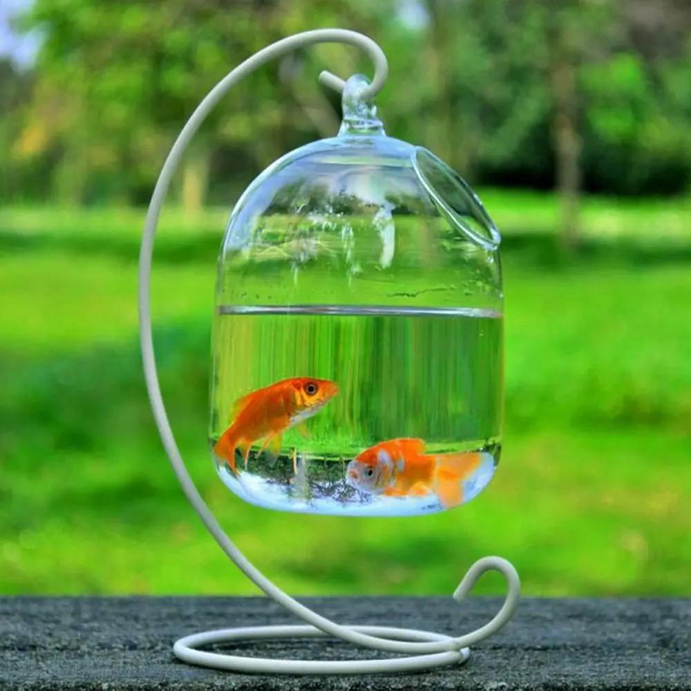 Wall Hanging Hydroponics Vase With Rack Holder Aquarium Decoration Hanging Glass Fish Bowl Fish Tank Fish Bowl Vase Ornament