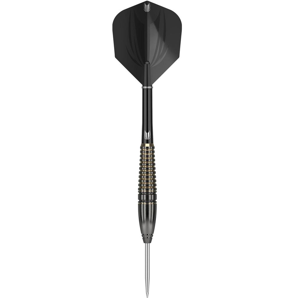 TEAM PRO MITSUMASA HOSHINO BRASS 18G STEEL (brass Darts, with Dedicated Case)