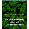 Dr. Ceuracle - Cica Regen Vegan Sun