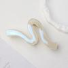 Korean Versatile Shiny Claw Clip: High-End Hair Accessory for Women