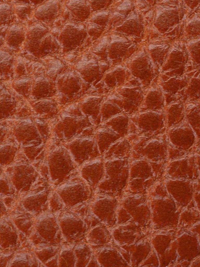 Coin Case Coin Purse Leather Genuine Leather Cowhide Unisex Olive [IL BISONTE] Women's Men's