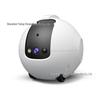 Smart Pet Companion Robot with Wireless HD Camera for Home Use
