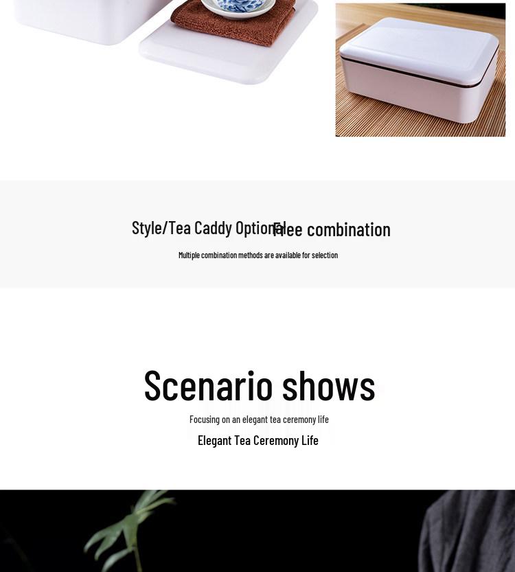 Portable Ceramic Kung Fu Travel Tea Set with Tray and Case