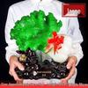 Imitation Jade Cabbage Ornament - A Fortune-Bringing Home Decor Gift