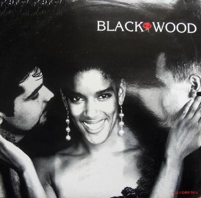 12inch Record BLACKWOOD - All I Gave To You BV3027 Blue Village 1993 Italy Dance & Electronica Used