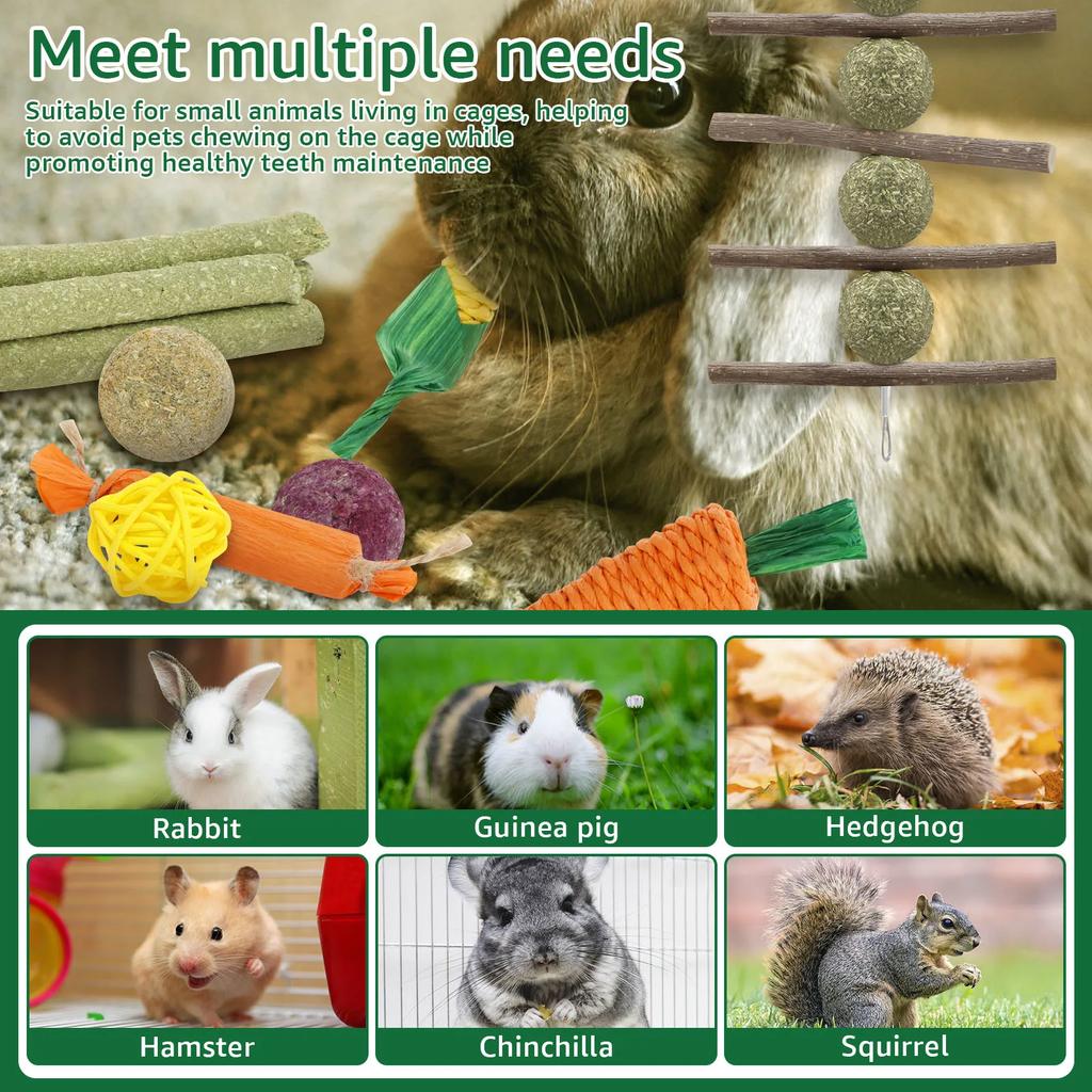 23Pcs Rabbits Chew Toys Wood Small Pet Boredom Breakers Cage Accessories Pet Tooth Grinding Snacks Guinea Pig Dragon Cat Fun Toy