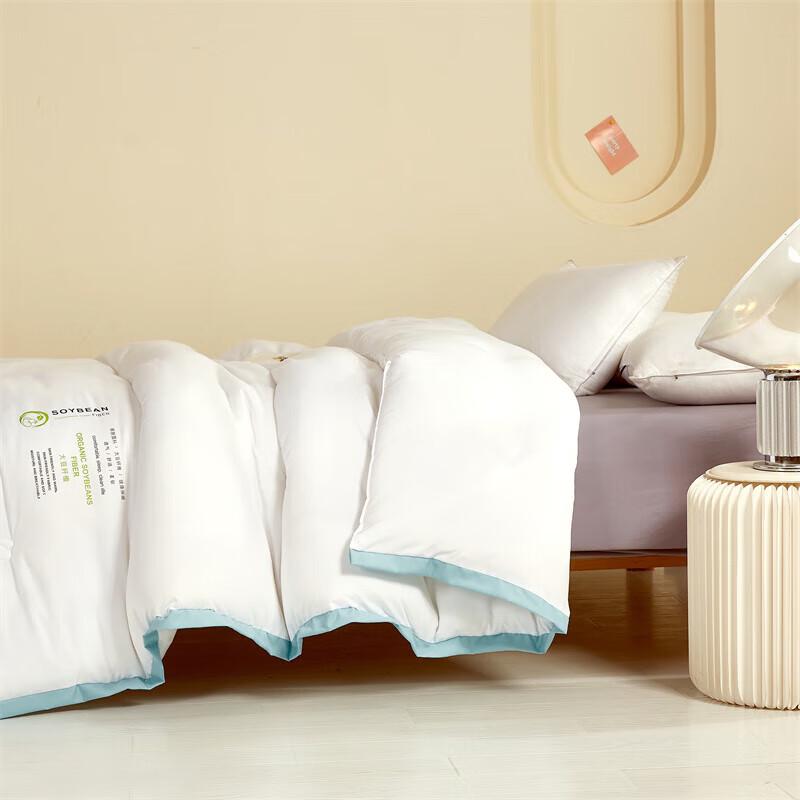 Grace Antibacterial Soy Fiber Quilt