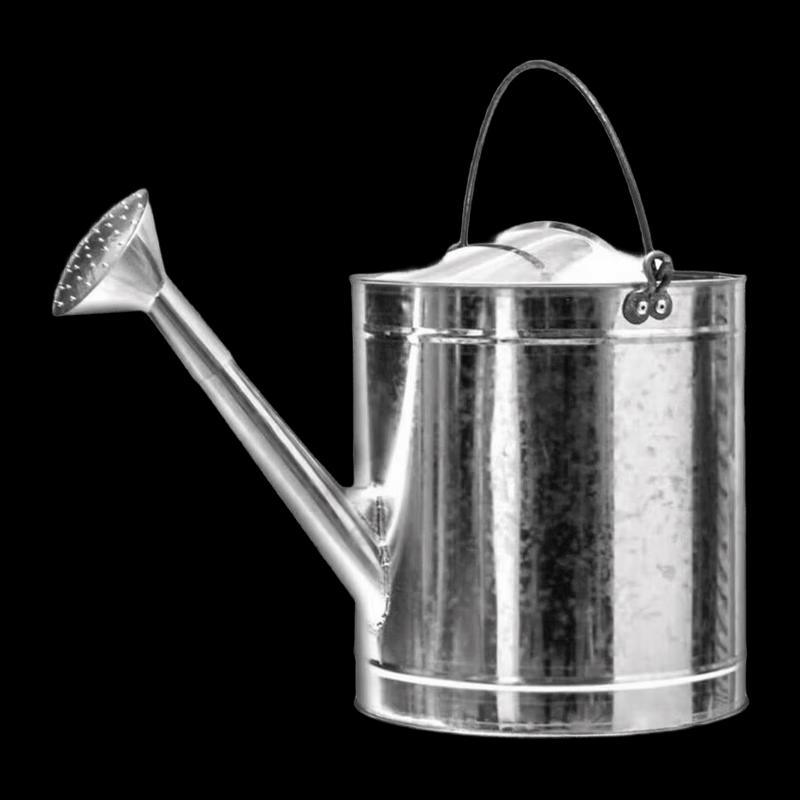 NHZHIW Thickened Galvanized Iron Watering Can