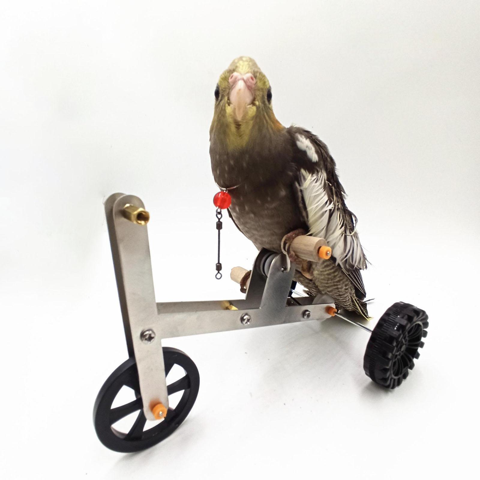Parrot Bike Toy Parrot Intelligence Training Toy Cognitive Skills and Physical