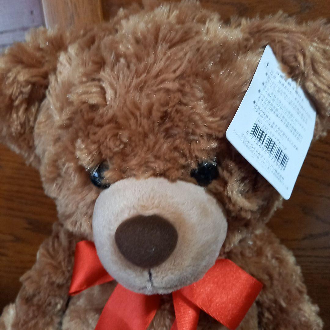 

[USED] Teddy bear stuffed animal