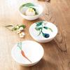 Noritake Bowls of Kyoka Shunsai Microwave and Dishwasher Fine (Set 5) 14cm, 490cc, Design, Safe, Porcelain, F5306L/1620-15