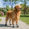 4 Stück/Set Verschleißfeste Anti-Rutsch Hundeschuhe Atmungsaktive Haustier-Sneaker Outdoor-Abenteuer