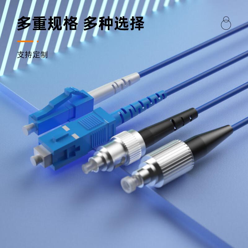 Baisende Telecom-Grade Indoor Armored LC-SC Single-Mode Fiber Optic Patch Cable