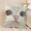 Meme Pixel Cat Cute Funny Cushion Cover Silky Short Plush Invisible Zipper Dustproof Sofa Pillow Case For Home Decor