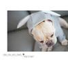 Pet Dog Clothes Cute Rabbit Ear Design For Small Dogs Coat Winter Dog Hoodies Puppy Cat Clothing For Dogs Pug French Bulldog
