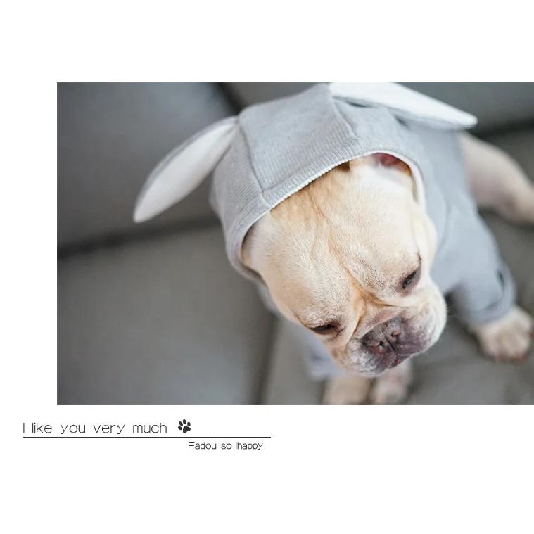 Pet Dog Clothes Cute Rabbit Ear Design For Small Dogs Coat Winter Dog Hoodies Puppy Cat Clothing For Dogs Pug French Bulldog