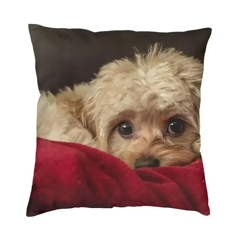 Cavalier King Charles Spaniel Luxury Pillow Cover Home Decorative Dog Animal Cushions For Sofa Double Sided Print Chair Cushion