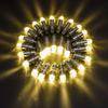 10Pcs Warm White Mini LED Bulb Battery Operated Wedding Party Christmas Decor Lantern Innner Lamp with Hanging Hooks