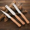 1PC Small Hand Saw Flush Cut Saw Woodworking Hand Saw Wooden Straight Handle Single Edge Pull Saw Trim Tool for Household