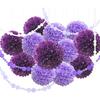 Purple Graduation Party Decoration - Colorful Paper Flower Pom Poms Wall Decorations for Birthdays, Bridal or Baby Showers, Weddings, Outdoor Decor