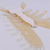 Human Sternum Model Human Skeleton Model Human Skeleton Anatomical Model Easy To Use Medicals Teaching Aid