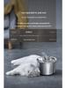 Smart Stainless Steel Pet Water Fountain with Automatic Circulation and Filtration for Cats