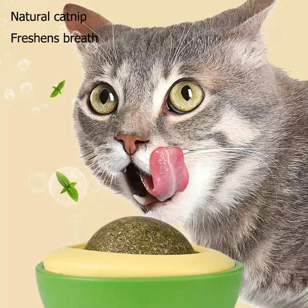 Natural Catnip  Rotatable Wall Stick-on Ball Cats Teeth Cleaning Avocado Shaped Cute cat Toys Mint Ball Bionic Fun Healthy Gut